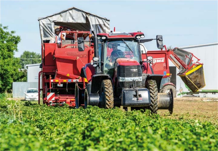 Tekvice predeľujú Slovensko, a potvrdzujú to aj vo Farme Tekvička